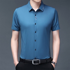 无痕短袖衬衫男2023夏季新款中年男士商务休闲半袖衬衣爸爸夏装，男装衬衫，电商B212（原钱塘6029）