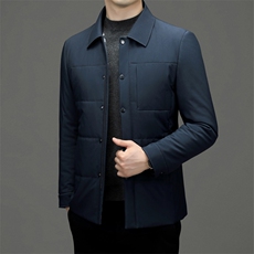 中年男士2023冬季新款商务休闲翻领棉衣厚款保暖男装棉服外套，男装棉衣，电商B212（原钱塘6029）