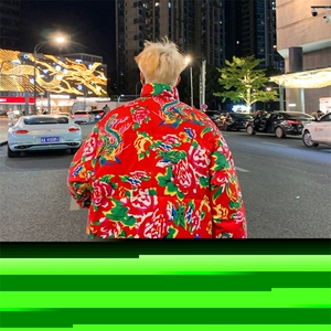 男士东北大花保暖潮羽绒服羽绒衣228-1-1131-P210图片