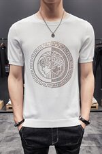 D215/98116#夏季潮男新款薄色冰丝短袖T恤打底衫男，男装T恤，电商D320(原D215)