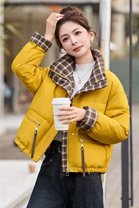 现货！2025年冬季无帽立领加厚保暖白鸭绒羽绒服女图片