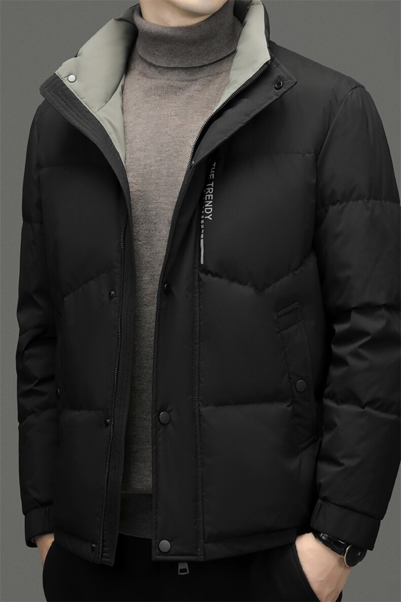 CAH9103钱塘2020-2冬季厚款商务休闲简约立领中年男士羽绒服P230,男装羽绒服,钱塘207-2