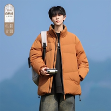 Y2362-P228L-9XL新标90绒石墨烯冬季新款大码立领羽绒服，男装羽绒服，星座109