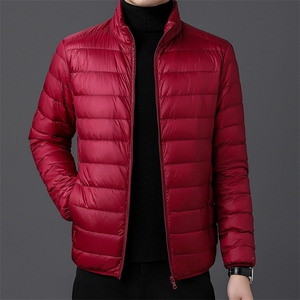 达标50绒轻薄羽绒服外套男立领冬季中青年男士休闲百搭YR911-P70图片
