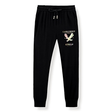 SXL-K10秋季2023年新款男士长袖长裤修身休闲时尚卫衣套装P149，男装休闲套装，电商B360