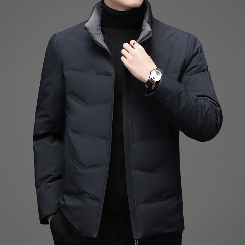 冬季白鸭绒立领羽绒服休闲男士简约短款时尚商务户外防寒男外套,男装羽绒服,钱塘6003（原4033）