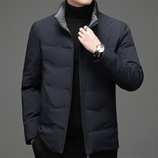 冬季白鸭绒立领羽绒服休闲男士简约短款时尚商务户外防寒男外套，男装羽绒服，钱塘6003（原4033）