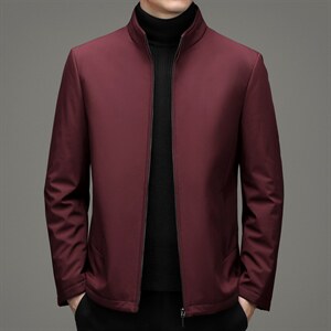 冬季棉衣男外套立领中青年保暖棉服爸爸冬装外套DFLDM16002-P185图片