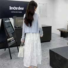 2025年春季新款修身显瘦时尚洋气飘逸两件套，女装连衣裙，心心服饰