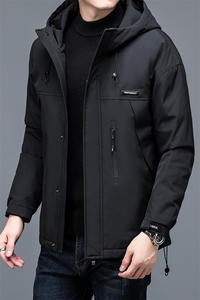 DZ8201钱塘2020-3中年男士冬季厚款有帽商务休闲羽绒服P245图片