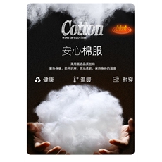 量大优可提供视频冬棉衣立领条纹HD019-1-MF5211-P75，男装棉衣，电商019-1