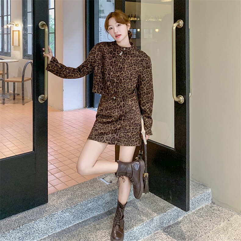 时尚豹纹长袖连衣裙 秋季新款显瘦气质女装套装图片