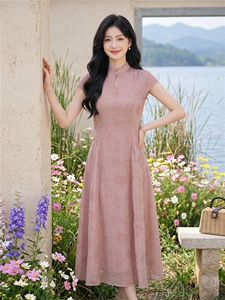 新中式刺绣连衣裙女夏新款收腰显瘦设计感度假风长裙子图片