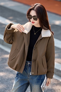 秋冬夹棉外套女2025新款绝美巨好看的韩系休闲短款chic毛领派克服图片