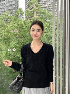 秋冬新款低圆领女修身套头上衣针织衫图片