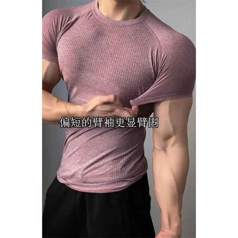 现货 醋哥同款无缝提花健身短袖JS13-特批33图片