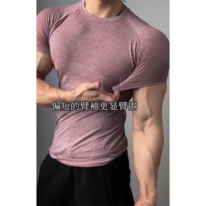 现货 醋哥同款无缝提花健身短袖JS13-特批33图片
