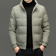 秋冬季白鸭绒立领羽绒服休闲男士简约短款时尚商务户外防寒男外套，男装羽绒服，钱塘6003（原4033）