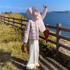 新品设计款龟背泡芙羽绒服90白鸭绒2C273-1026-P335-K488，女装羽绒服，2C273
