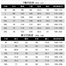 男士夏季2023新款冰丝套装男短袖t恤短裤两件套夏装休闲运动男装，男装休闲套装，电商B212（原钱塘6029）