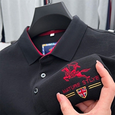 长袖t恤男士春秋季新款翻领polo衫中年休闲男秋冬款打底衫上衣服，男装T恤，电商B212（原钱塘6029）