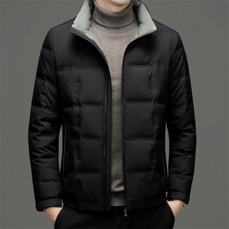 BEYR811钱塘2020-2中年男士冬季新款时尚立领百搭羽绒服P180,男装羽绒服,钱塘207-2