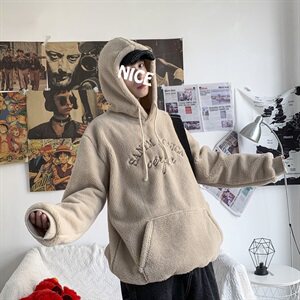 703-W199-P58秋冬港风加绒羊羔毛卫衣 绣花套头帽衫图片