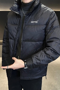 2025数据男士冬季羽绒服立领百搭鸭绒保暖青年夹克外套图片