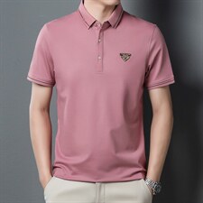 polo衫短袖男夏季潮牌2023新款半袖上衣宽松翻领t恤男，男装T恤，电商B212（原钱塘6029）