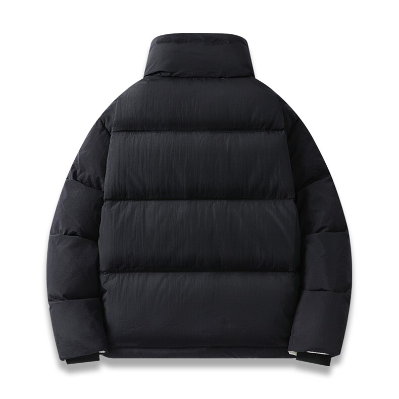 新标90白鸭绒简约休闲立领外套纯色加厚羽绒服ESY0204-P210,男装羽绒服,电商B306