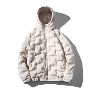 2021秋冬新白底风棉衣面料：100%聚酯纤维 M733-P85图片