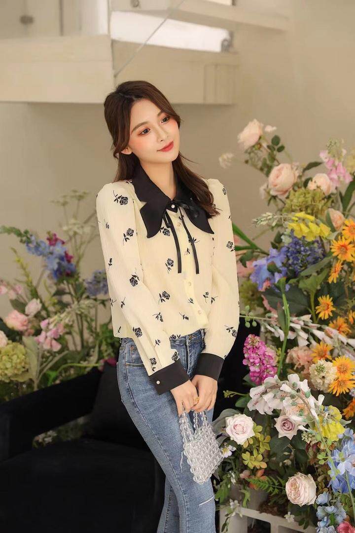 雪纺衬衣，其它，伊洛姿