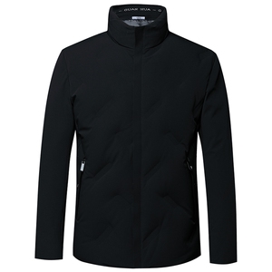 2023新款冬装羽绒服中青年男士加厚保暖防寒立领外套AJY2081-P190图片