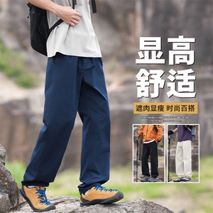 抖音品质男2025春季新款通勤宽松直筒裤A146-GY266特p23量大优图片