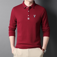 秋冬t恤男商务休闲上衣纯棉中年男士体恤翻领POLO衫潮HPN775-P75，男装T恤，电商B212（原钱塘6029）