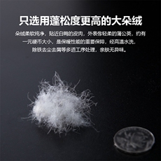 YR50099-P255大毛领羽绒服男大码彩色连帽羽绒衣男外套，男装羽绒服，电商A040A