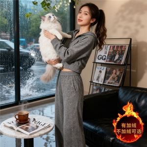 时尚休闲运动套装女秋款洋气减龄气质半拉链连帽卫衣直筒裤两件套图片
