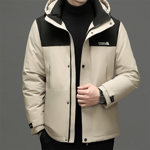 羽绒服男士新款秋冬季宽松休闲中青年保暖连帽外套 FF9776-P290图片