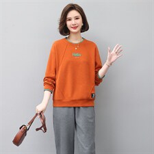 2025春秋季新款撞色刺绣时尚优雅套头圆领长袖卫衣，女装卫衣/绒衫，独衣靓