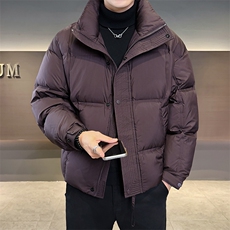 90标冬季新款简约无缝直冲保暖羽绒服百搭休闲外套YR6111-P319，男装羽绒服，电商D342