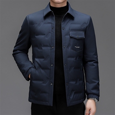 BZ23006钱塘2020-2时尚休闲翻领简约冬季中年男士羽绒服P183，男装羽绒服，钱塘207-2
