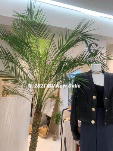 现货进口皮质小皮衣外套均码2色，女装皮衣，G