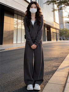 女春季新款时尚慵懒风套装灰色拉链开衫连帽长袖外套阔腿裤两件套图片