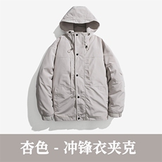 C2015杏色