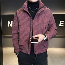 数据男士羽绒服标90保暖时尚外套潮牌印花B317/6610/P245，男装羽绒服，电商B317