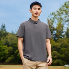 短袖t恤男士冰丝2025新款高端宽松纯色半袖polo衫PL12357-P35，男装Polo衫，星座610（原A335）