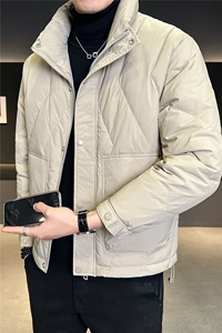 标50 羽绒服男士2025新款冬装立领菱形设计外套 B240-6622-P215图片