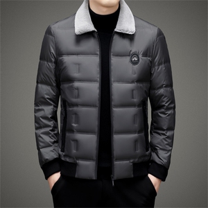 V2331钱塘2020-3秋冬新款男士毛翻领羽绒服保暖休闲百搭外套P205图片