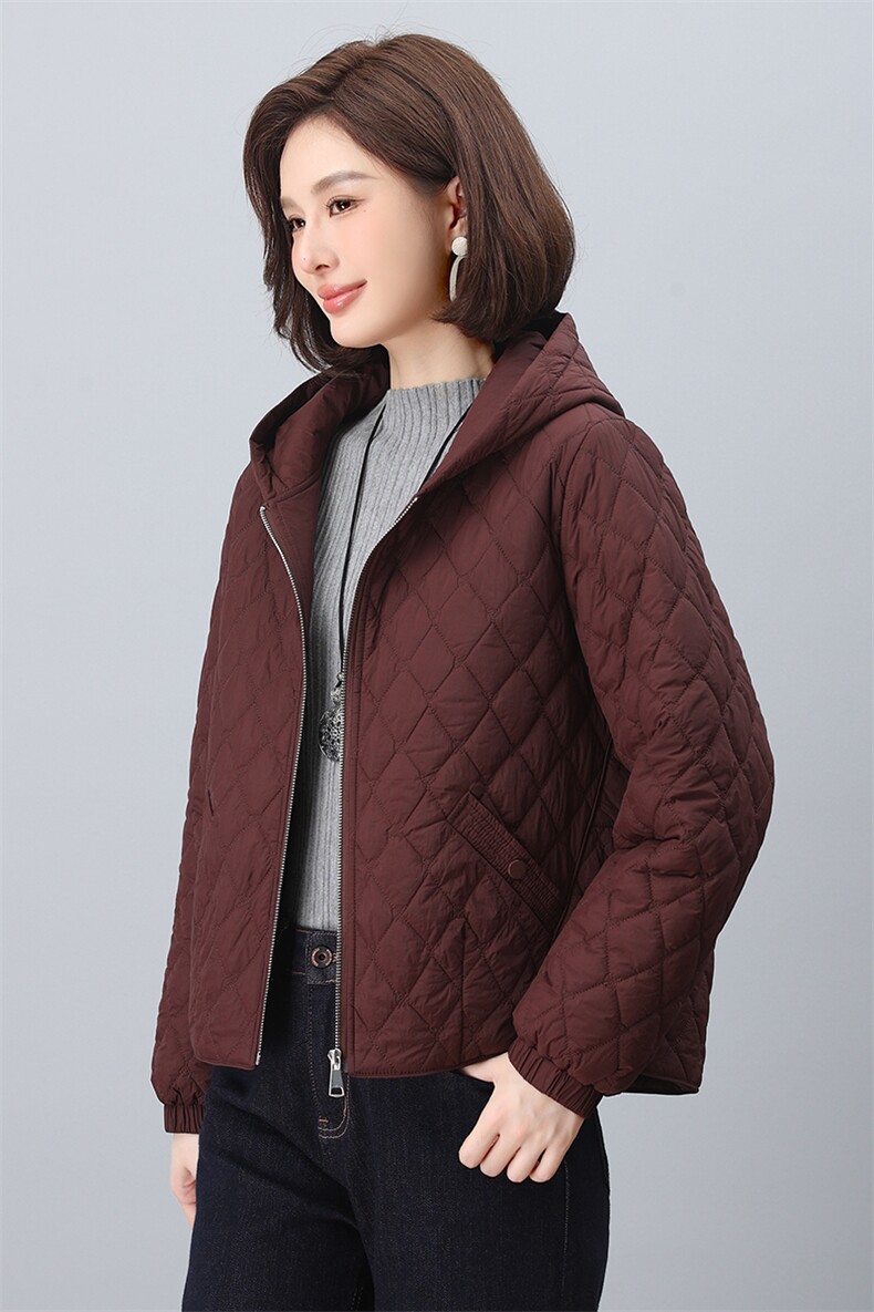 2024年冬季新款棉服时尚休闲连帽加棉短款小棉衣,女装棉衣/棉服,依恋蒂丝