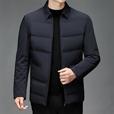 21冬季新款翻领纯色羽绒服中年男士休闲百搭时尚外套SJ6606-P240，男装羽绒服，电商B212（原钱塘6029）
